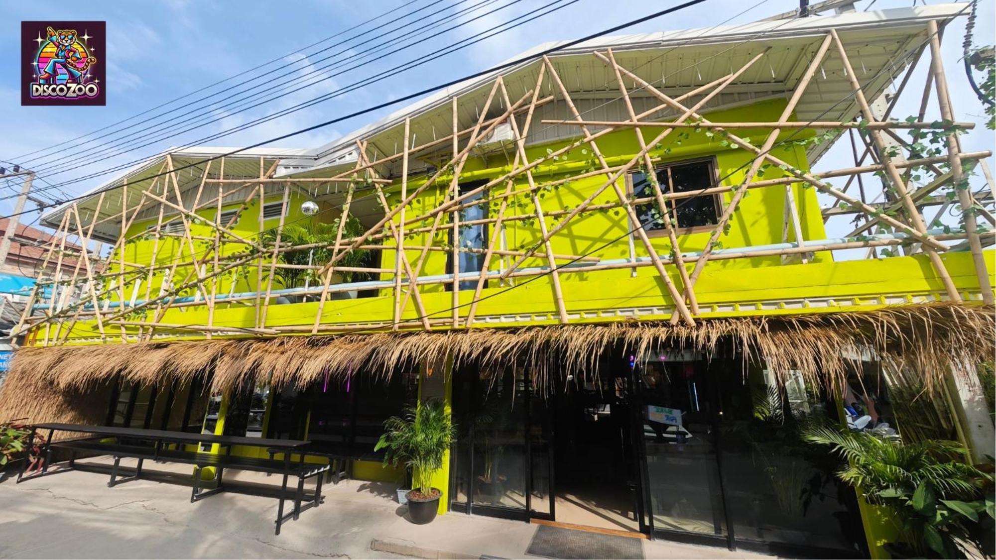 Disco Zoo Bar & Hostel 哈林海滩 外观 照片