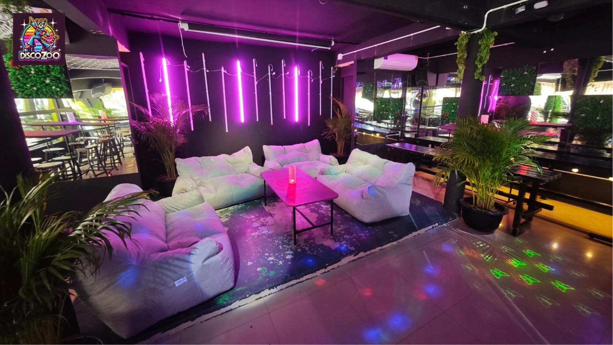 Disco Zoo Bar & Hostel 哈林海滩 外观 照片