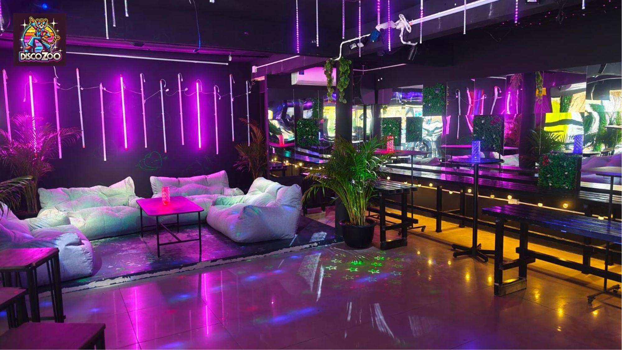 Disco Zoo Bar & Hostel 哈林海滩 外观 照片