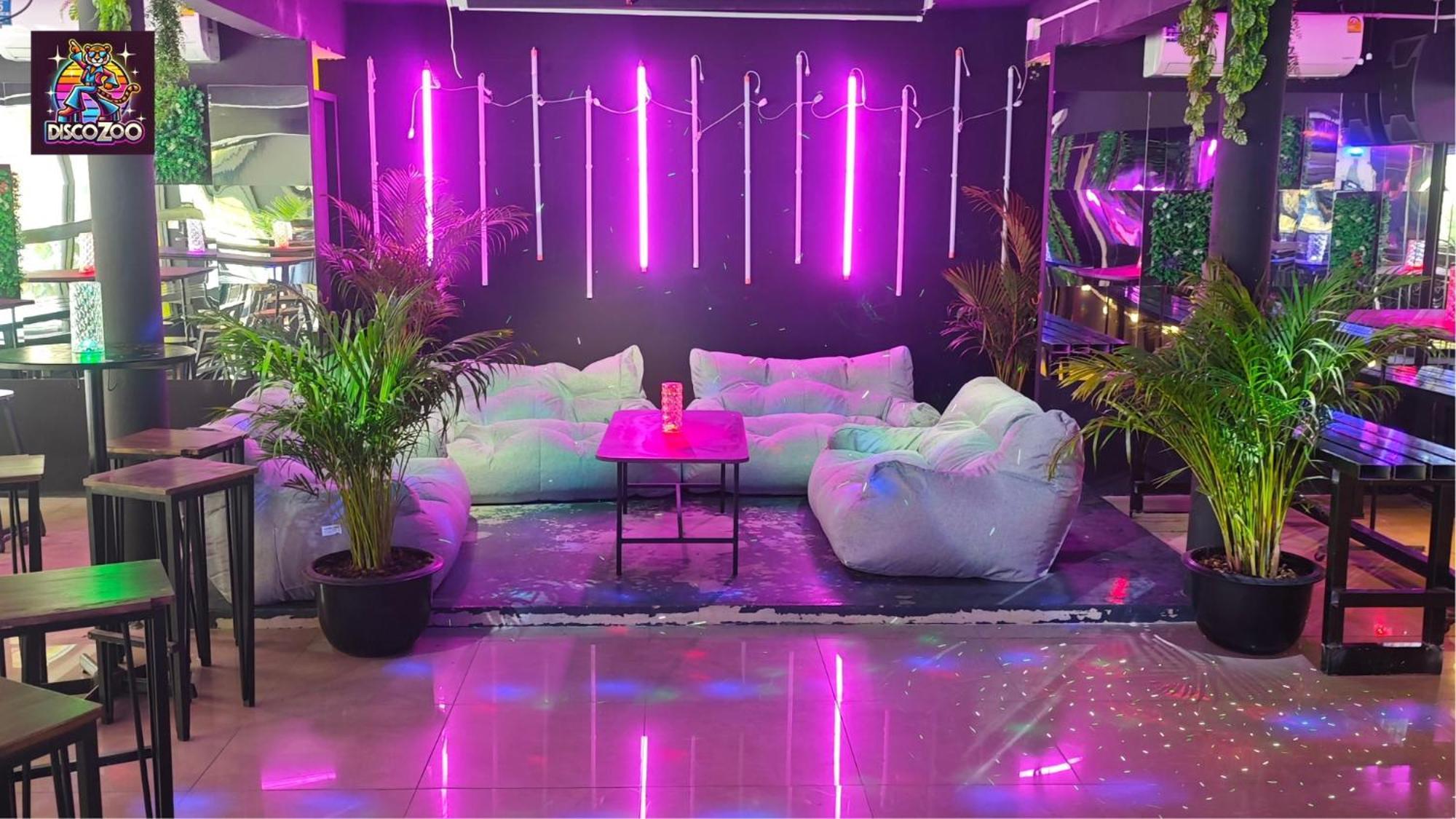 Disco Zoo Bar & Hostel 哈林海滩 外观 照片