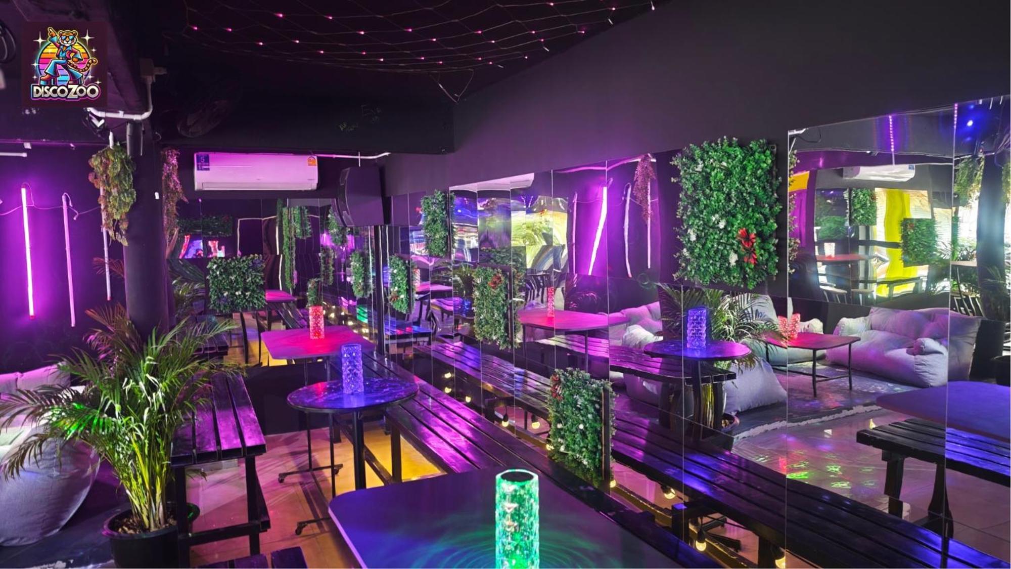 Disco Zoo Bar & Hostel 哈林海滩 外观 照片