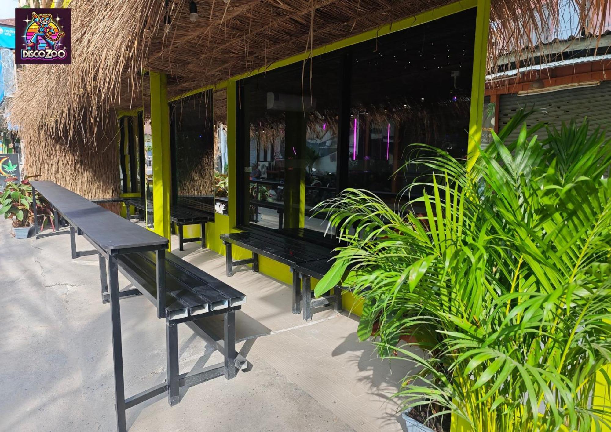 Disco Zoo Bar & Hostel 哈林海滩 外观 照片